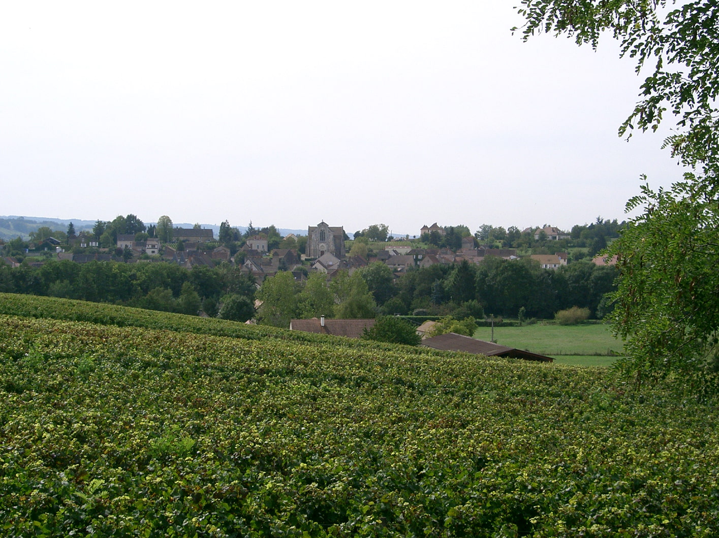 Vitrerie - Miroiterie Cheilly-lès-Maranges (71150)